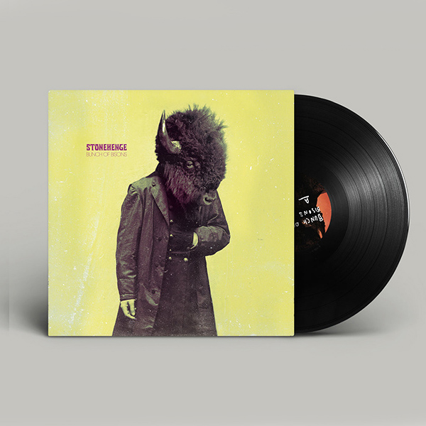Vinyl / Bunch Of Bisons